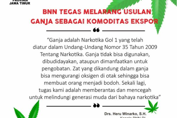 BNN Tegas Melarang Usulan Ganja Sebagai Komoditas Ekspor