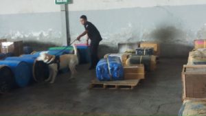 Unit K9 BNN Provinsi Jawa Timur Beraksi