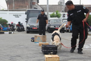 Demonstrasi K9