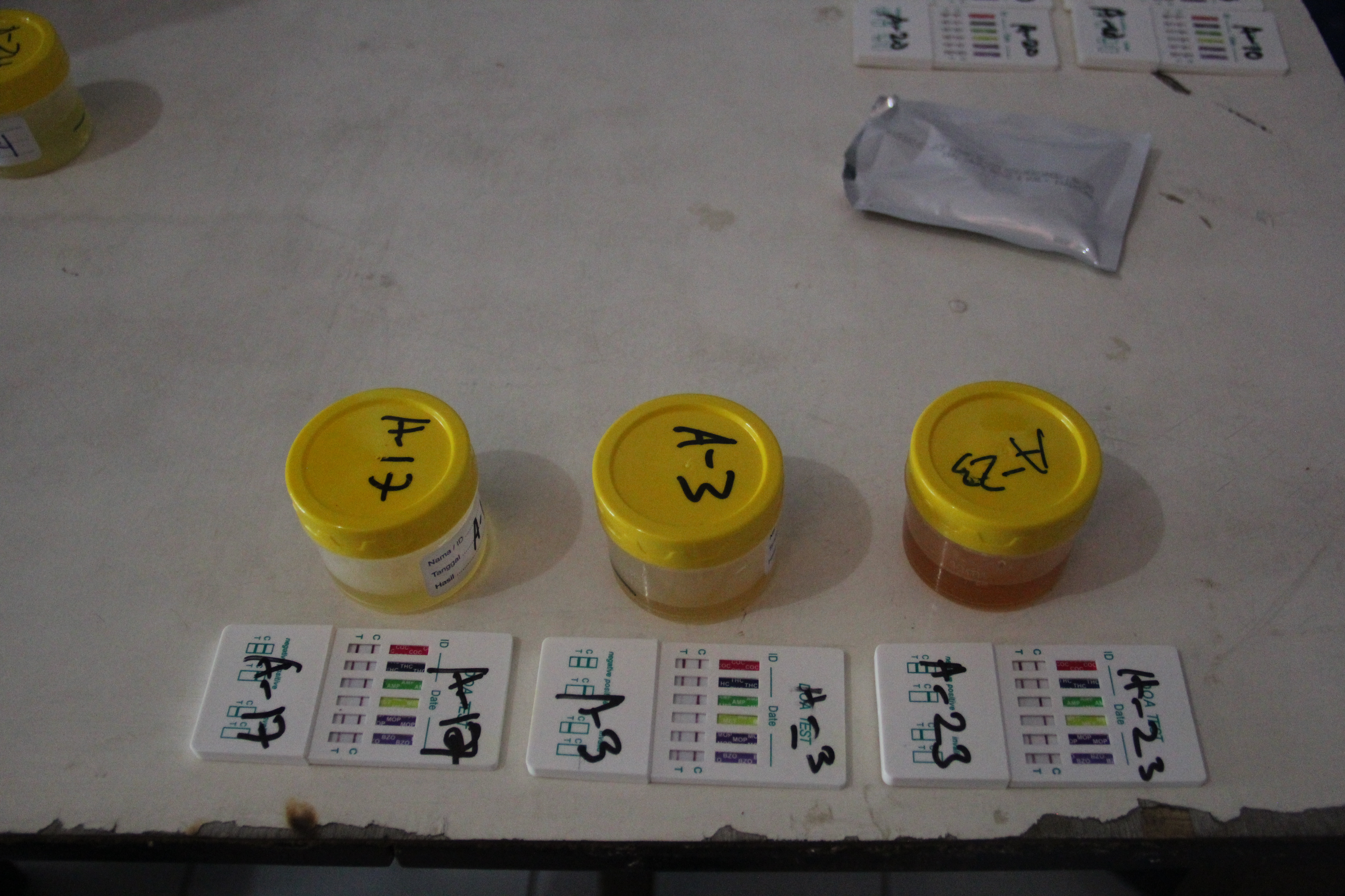 KEGIATAN TES URINE BNN PROVINSI JAWA TIMUR