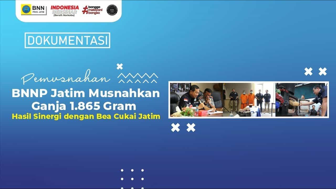 BNNP Jatim Musnahkan Ganja 1865 Gram Hasil Sinergi dengan Bea Cukai Jatim MUSNAH